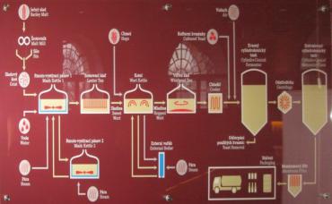 Schéma výroby piva v pivovaru Gambrinus