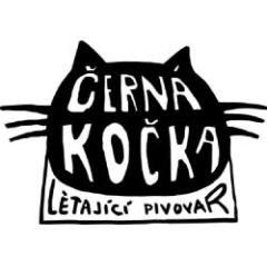 Černá kočka